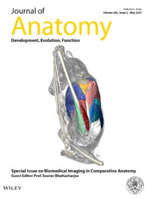 Cover of Journal of Anatomy: Volume 246, Issue 5 Special Issue on Biomedical Imaging in Comparative Anatomy